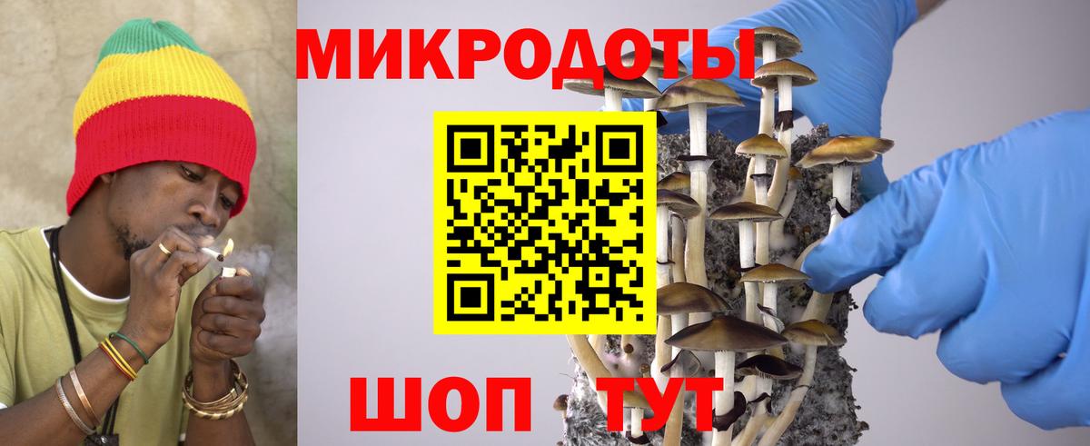 Псилоцибиновые грибы мицелий Валуйки